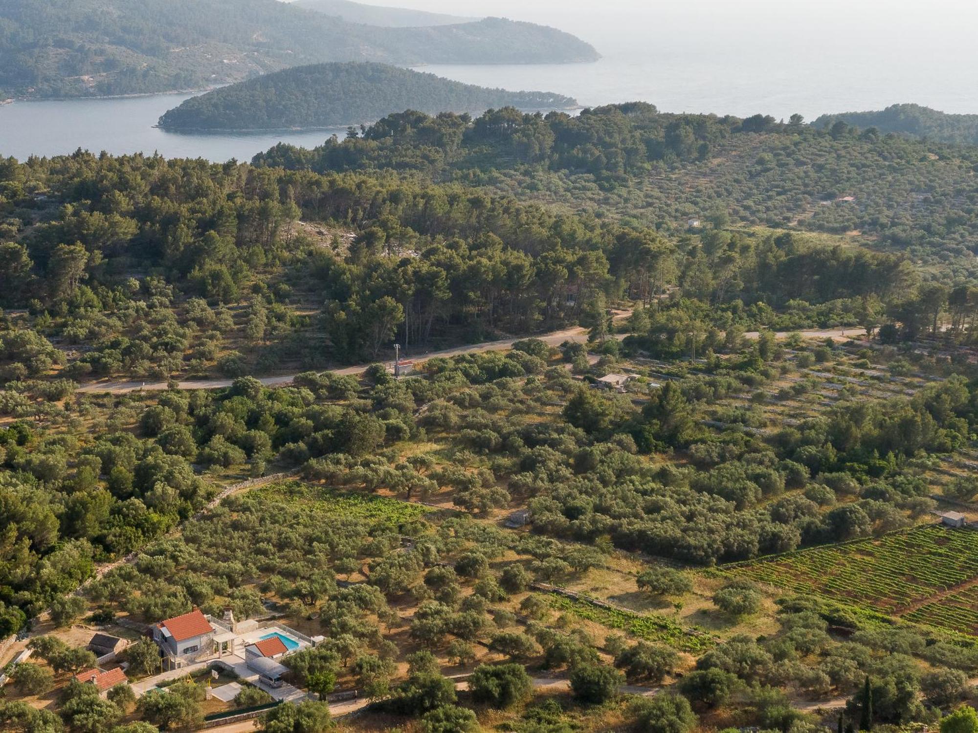Villa Barbara - Olive Paradise, With Chlorine-Free Pool Vela Luka Exterior foto